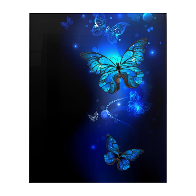 Morpho Butterfly in the Dark Background Acrylic Print (Front)