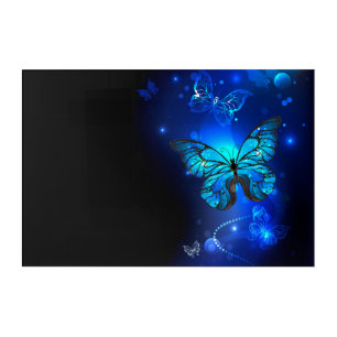 Morpho Butterfly in the Dark Background Acrylic Print
