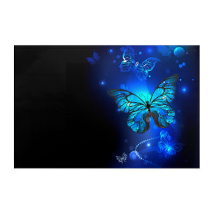 Morpho Butterfly in the Dark Background Acrylic Print