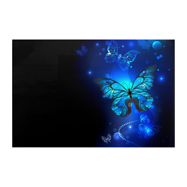 Morpho Butterfly in the Dark Background Acrylic Print (Front)