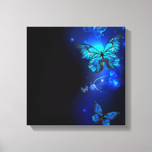 Morpho Butterfly in the Dark Background Canvas Print