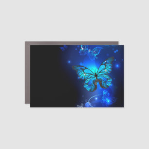 Morpho Butterfly in the Dark Background Car Magnet