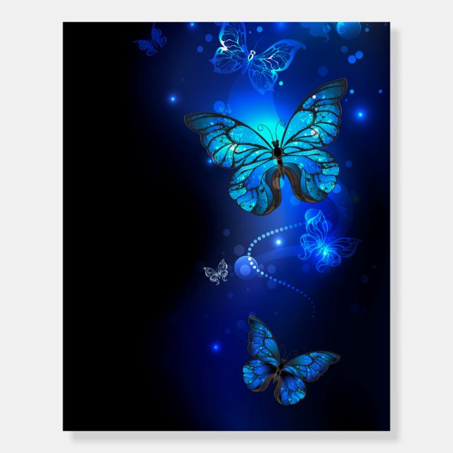 Morpho Butterfly in the Dark Background Foam Board (Front)