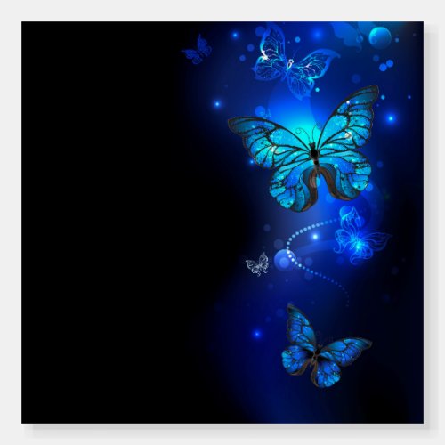 Morpho Butterfly in the Dark Background Foam Board