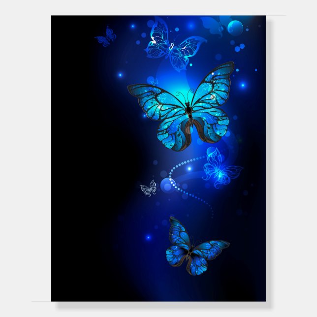 Morpho Butterfly in the Dark Background Foam Board (Front)