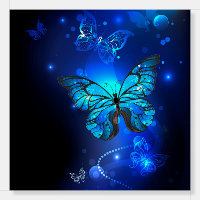 Morpho Butterfly in the Dark Background