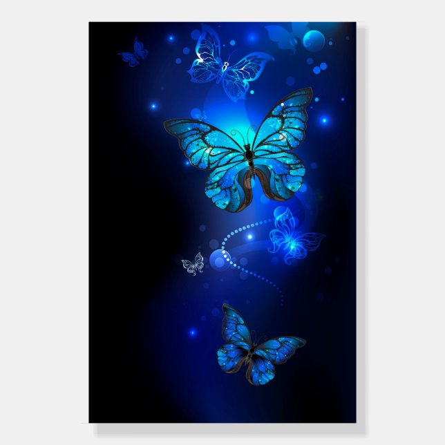 Morpho Butterfly in the Dark Background Foam Board (Front)