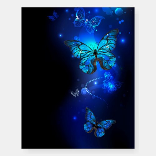 Morpho Butterfly in the Dark Background Foam Board