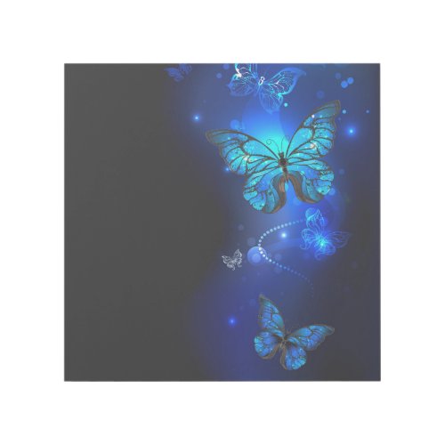 Morpho Butterfly in the Dark Background Gallery Wrap