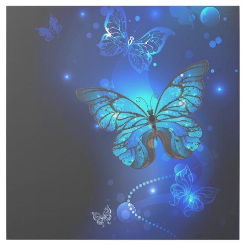 Morpho Butterfly in the Dark Background Gallery Wrap