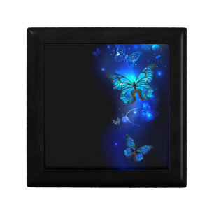 Morpho Butterfly in the Dark Background Gift Box