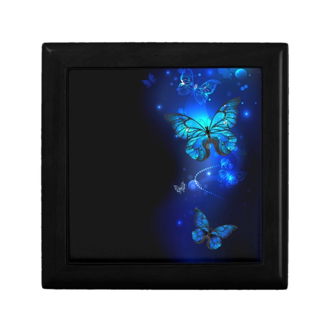 Morpho Butterfly in the Dark Background Gift Box (Front)