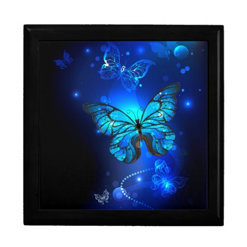 Morpho Butterfly in the Dark Background Gift Box