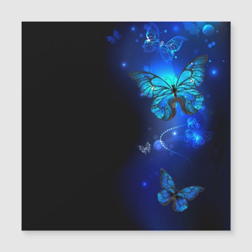 Morpho Butterfly in the Dark Background Magnetic Invitation