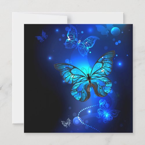 Morpho Butterfly in the Dark Background Magnetic Invitation