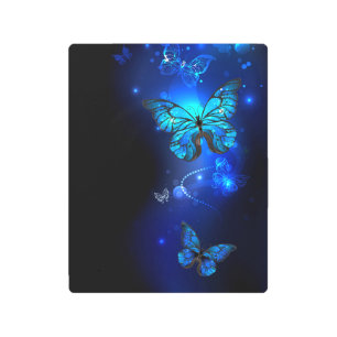 Morpho Butterfly in the Dark Background Metal Print