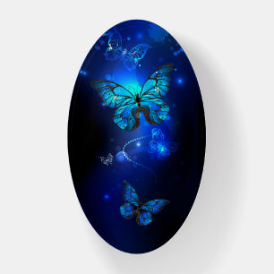 Morpho Butterfly in the Dark Background Paperweight