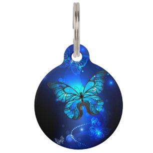 Morpho Butterfly in the Dark Background Pet ID Tag