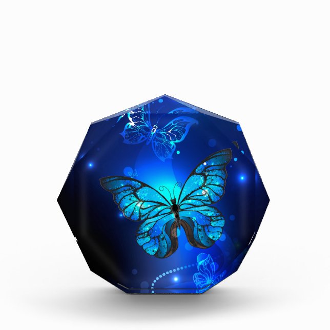 Morpho Butterfly in the Dark Background Photo Block (Front)