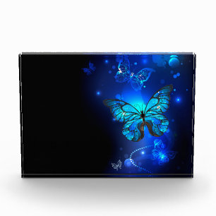 Morpho Butterfly in the Dark Background Photo Block