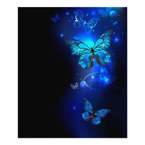 Morpho Butterfly in the Dark Background Photo Print