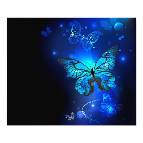 Morpho Butterfly in the Dark Background Photo Print