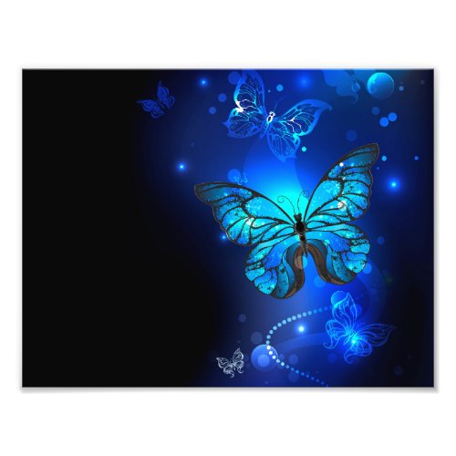 Morpho Butterfly in the Dark Background Photo Print