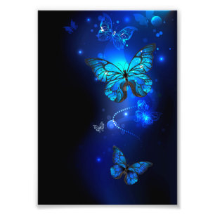 Morpho Butterfly in the Dark Background Photo Print
