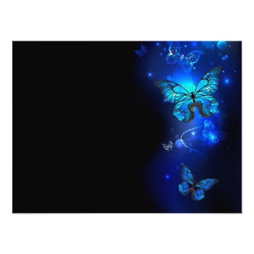 Morpho Butterfly in the Dark Background Photo Print