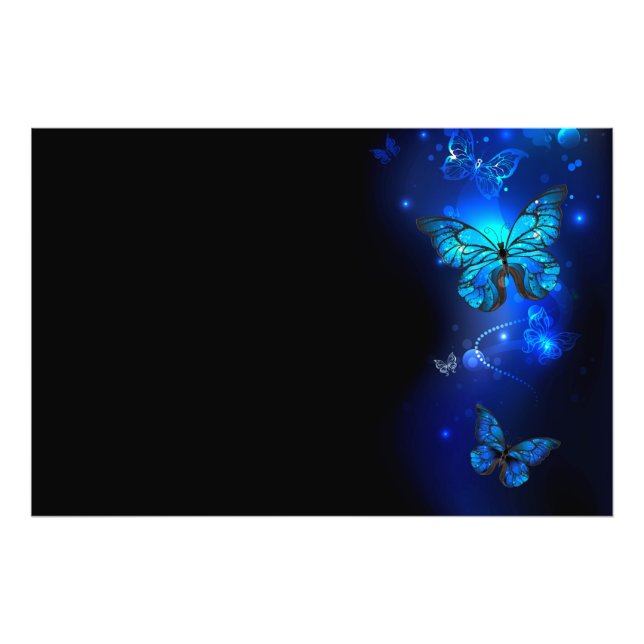 Morpho Butterfly in the Dark Background Photo Print (Front)