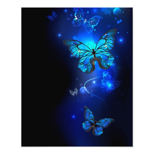 Morpho Butterfly in the Dark Background Photo Print