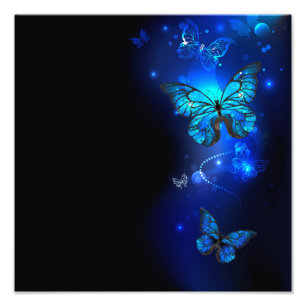 Morpho Butterfly in the Dark Background Photo Print