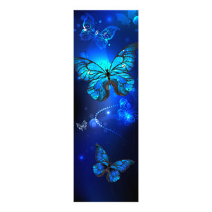 Morpho Butterfly in the Dark Background Photo Print