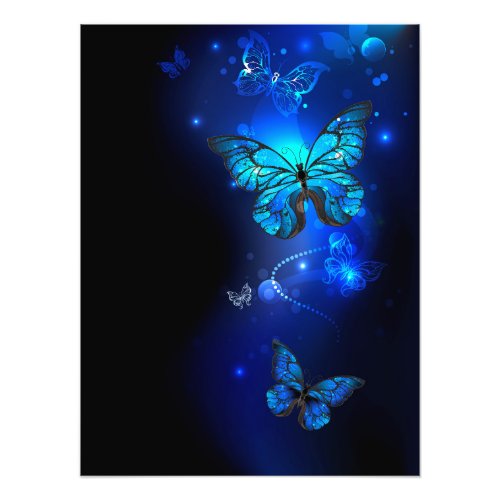 Morpho Butterfly in the Dark Background Photo Print