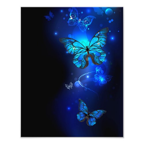 Morpho Butterfly in the Dark Background Photo Print