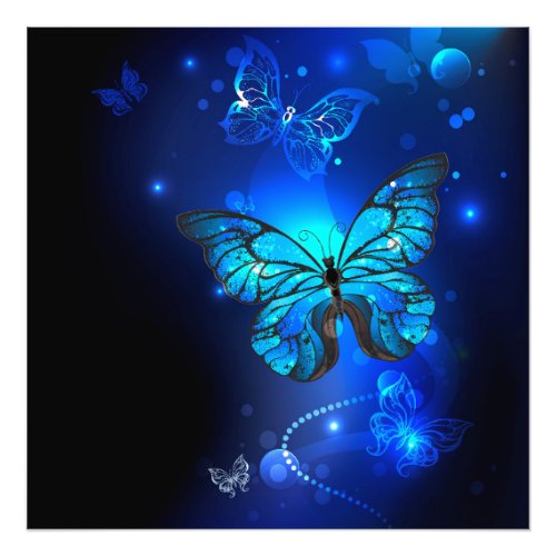 Morpho Butterfly in the Dark Background Photo Print