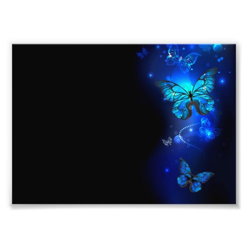 Morpho Butterfly in the Dark Background Photo Print