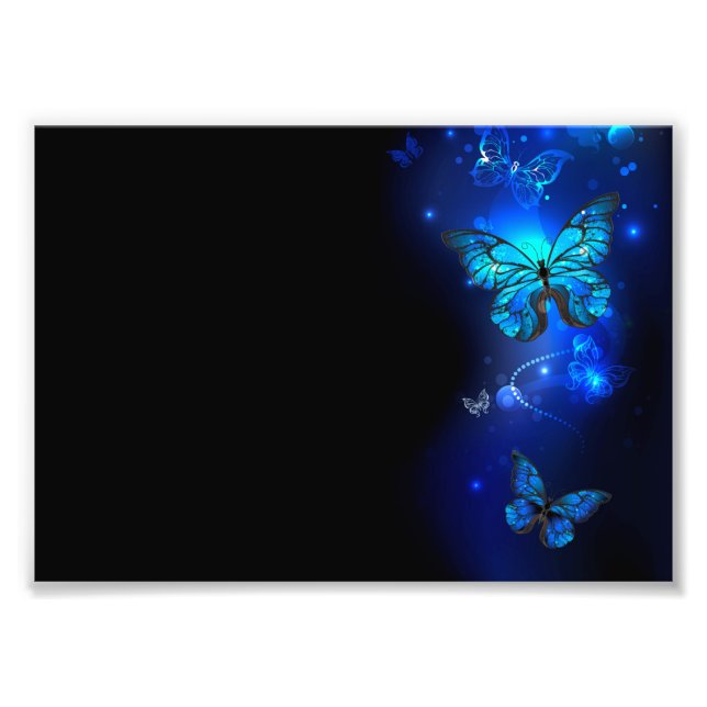 Morpho Butterfly in the Dark Background Photo Print (Front)