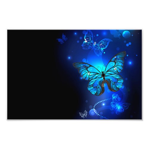 Morpho Butterfly in the Dark Background Photo Print