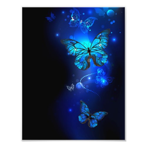 Morpho Butterfly in the Dark Background Photo Print