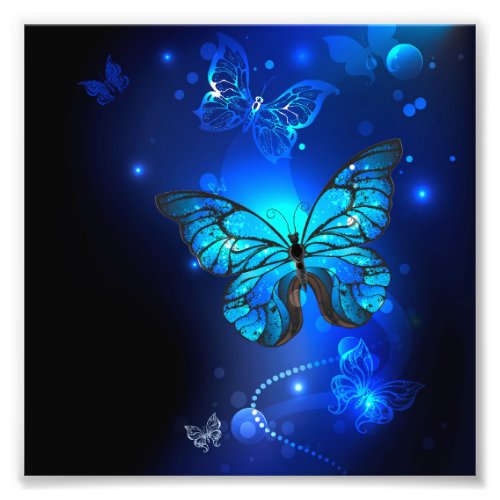 Morpho Butterfly in the Dark Background Photo Print