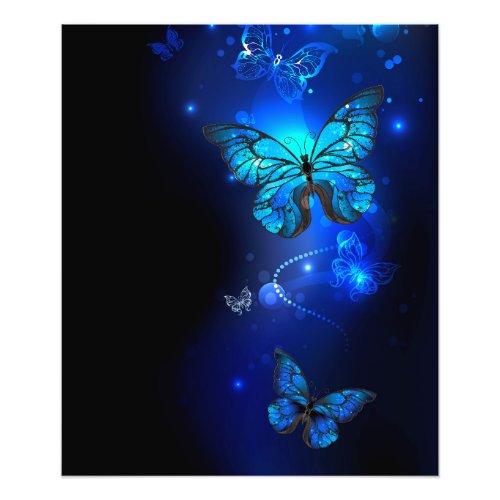 Morpho Butterfly in the Dark Background Photo Print