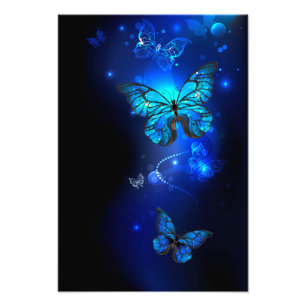 Morpho Butterfly in the Dark Background Photo Print