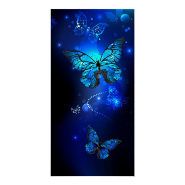 Morpho Butterfly in the Dark Background Poster (Front)