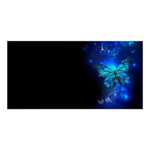 Morpho Butterfly in the Dark Background Poster