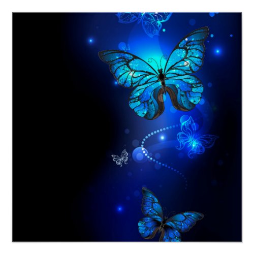 Morpho Butterfly in the Dark Background Poster