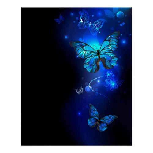 Morpho Butterfly in the Dark Background Poster