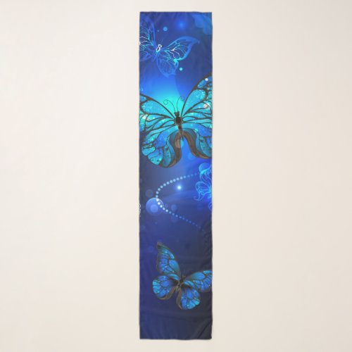 Morpho Butterfly in the Dark Background Scarf