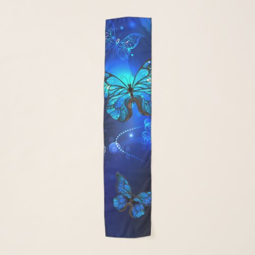 Morpho Butterfly in the Dark Background Scarf