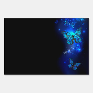 Morpho Butterfly in the Dark Background Sign
